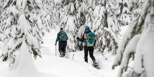 How to Snowshoe for Beginners
